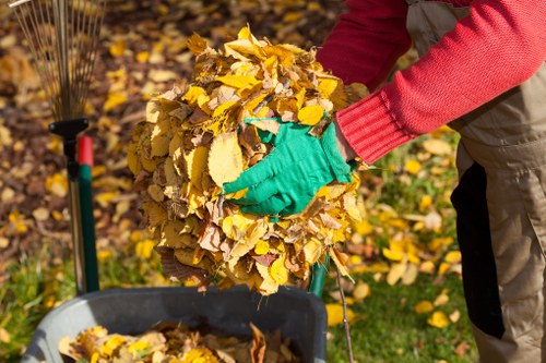 Professional team conducting house clearance in London